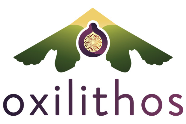 Σχεδιασμός λογότυπου oxilithos